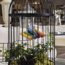 Synaty Bird Wooden Hammock Swing for Parrot - Ooala