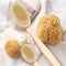 CHeRI Bath Body Brush Boar Bristles Exfoliating Massager with Long Wooden Handle Back Brush - Ooala