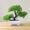 Funterior Yunsong Style Artificial Bonsai Tree Plants  | Small Ornaments For Home Decoration