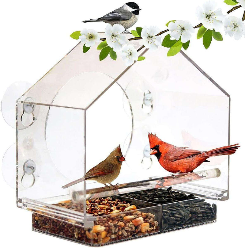 LightWings Acrylic Transparent Bird Feeder Tray | Birdhouse Window with Suction Cup - Ooala