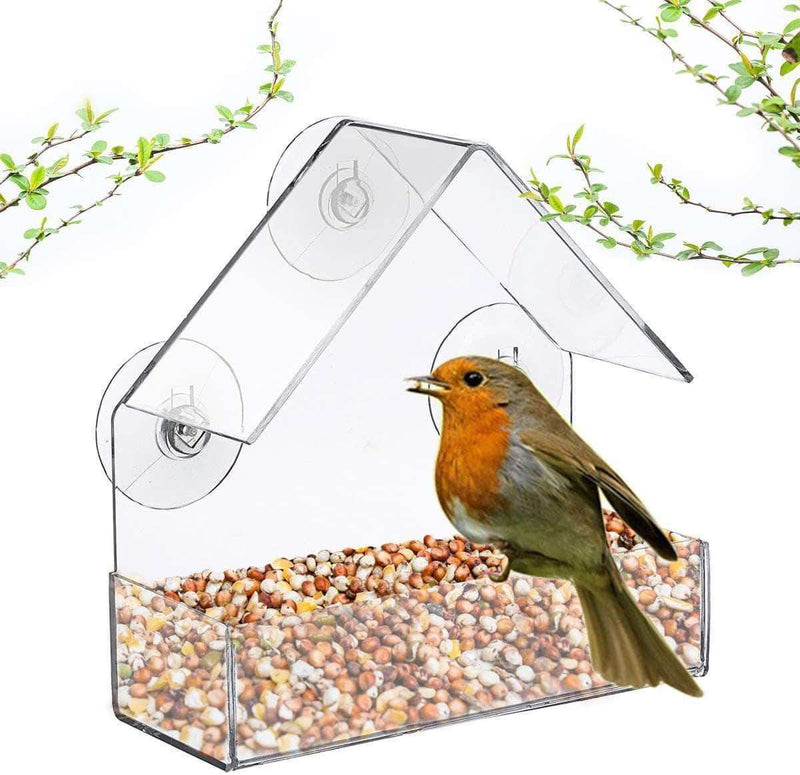 LightWings Acrylic Transparent Bird Feeder Tray | Birdhouse Window with Suction Cup - Ooala