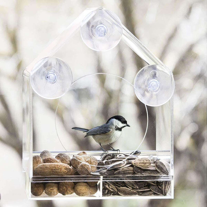 LightWings Acrylic Transparent Bird Feeder Tray | Birdhouse Window with Suction Cup - Ooala