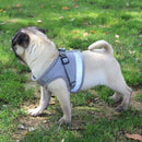 Ooala Pittex Adjustable Cat & Dog Vest Harness with Reflective Strap│Extra Small