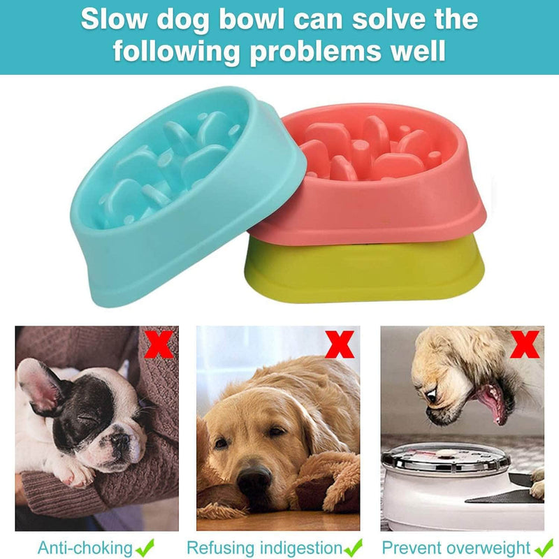 Pawzia Dog Slow Feeder Bowl, Prevents Choking | Eco-Friendly, Durable & Non-Toxic