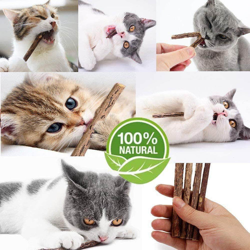 Smues Natural Plant Silvervine Chew Sticks | Cat Teeth Cleaning Chew Toy