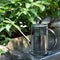 Spara Transparent Sprinkling Watering Can | Durable Stainless Steel Nozzle for Gardening - Ooala