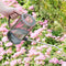 Spara Transparent Sprinkling Watering Can | Durable Stainless Steel Nozzle for Gardening - Ooala