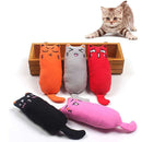 Zesty Cat Grinding Catnip Toys | Funny Interactive Pet Kitten Chewing Toy - Ooala